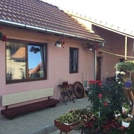 Casa Rustica Cu Terasa Villa Mediaş Eksteriør billede