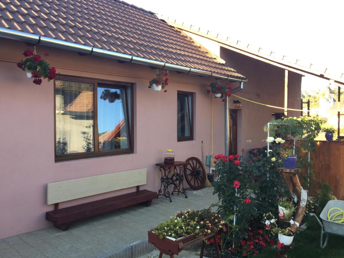 Casa Rustica Cu Terasa Villa Mediaş Eksteriør billede