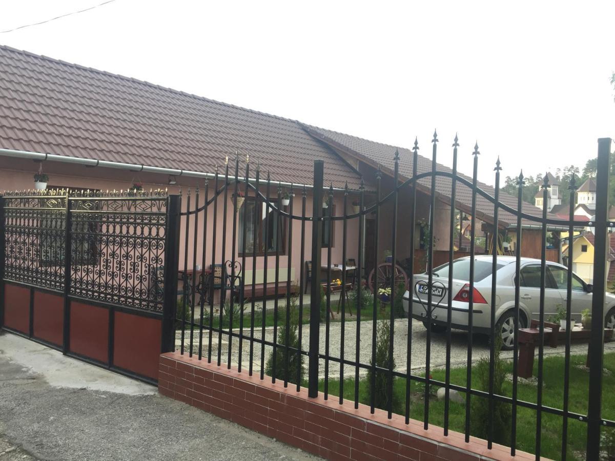 Casa Rustica Cu Terasa Villa Mediaş Eksteriør billede