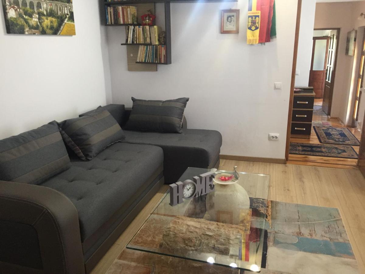 Casa Rustica Cu Terasa Villa Mediaş Eksteriør billede