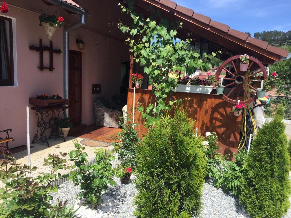 Casa Rustica Cu Terasa Villa Mediaş Eksteriør billede